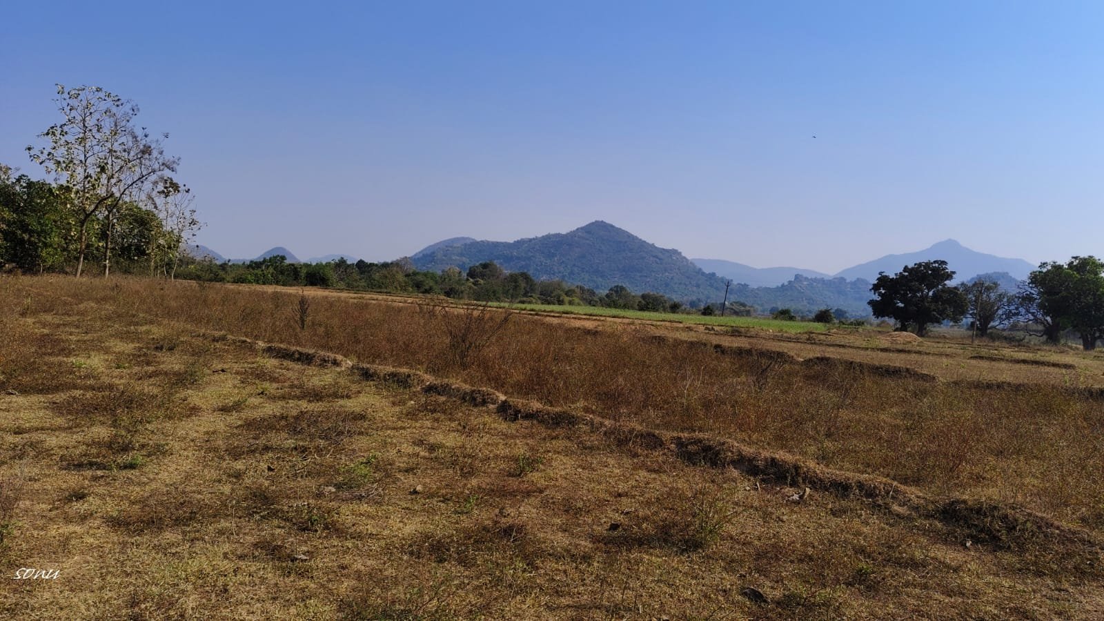 WhatsApp Image 2025-03-29 at 4.59.39 PM